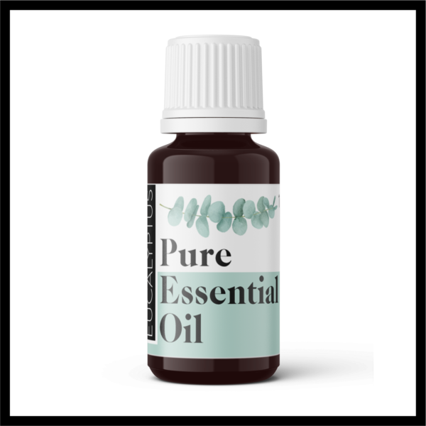 Eucalyptus Oil