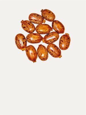 Black Organic Castor Oil - Image 4