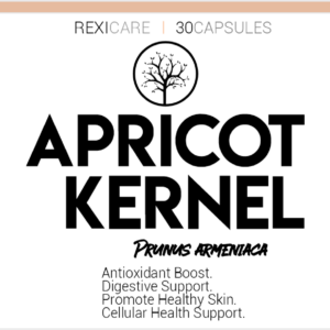 Apricot Kernel - Image 3