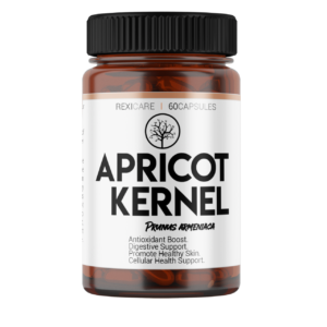 Apricot Kernel - Image 4