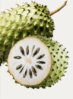 Soursop - Image 2