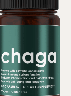 Inonotus Obliquus | Chaga - Image 3