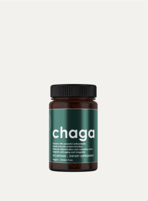 Inonotus Obliquus | Chaga