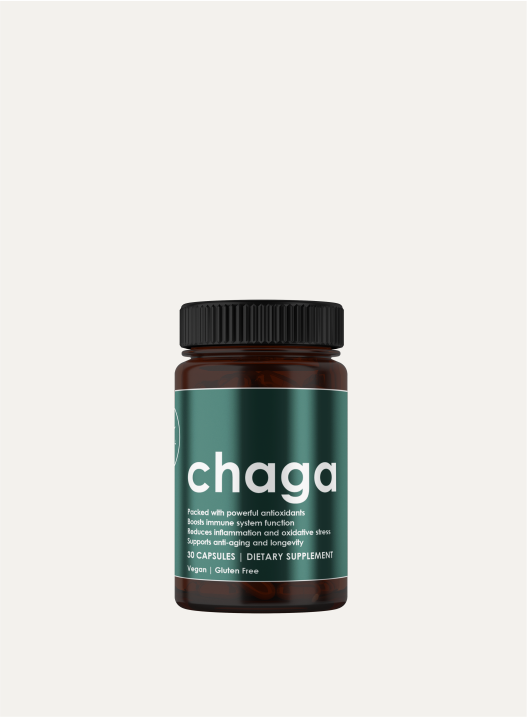 Inonotus Obliquus | Chaga