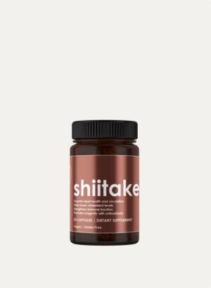 Lentinula Edodes | Shiitake