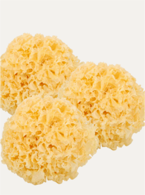 Tremella | Snow Fungus - Image 2