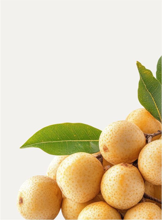 CBD Marula Night Cr 100 ml - Image 2