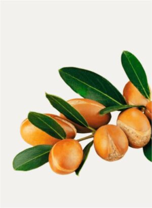 Detox Healing Cream - Image 5