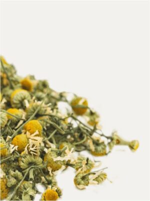 Detox Healing Cream - Image 2