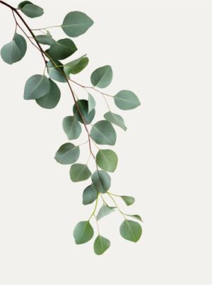 Herbal Balm - Image 4