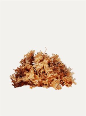 Sea Moss - Image 5