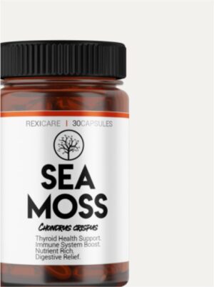Sea Moss - Image 2