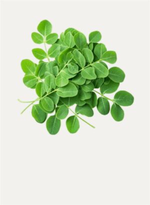 Pure Vitamin C Powder - Image 3