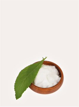 White crystalline camphor blocks or powder, derived from the camphor tree or synthesized, showing its distinctive translucent appearance.